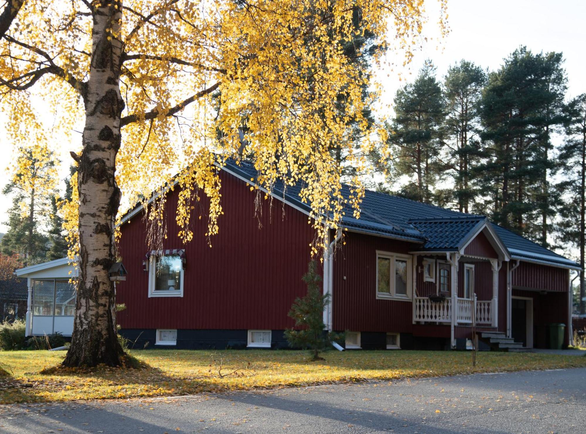 Nordic Character Guest House Vidsel Exterior photo